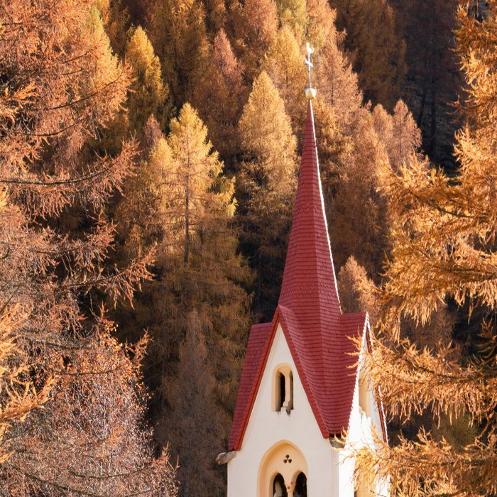 Autumn in Dolomites Italy Travel Photography Coffee Mug Gallery Image 2