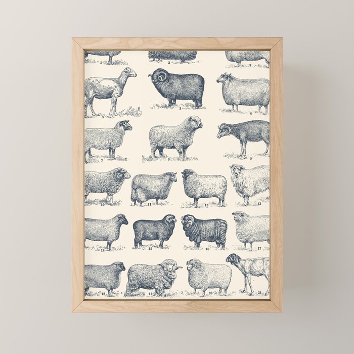 Types of Sheep Mini Art Print Gallery Image 1