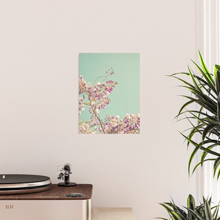 Wisteria Poster Gallery Image 2