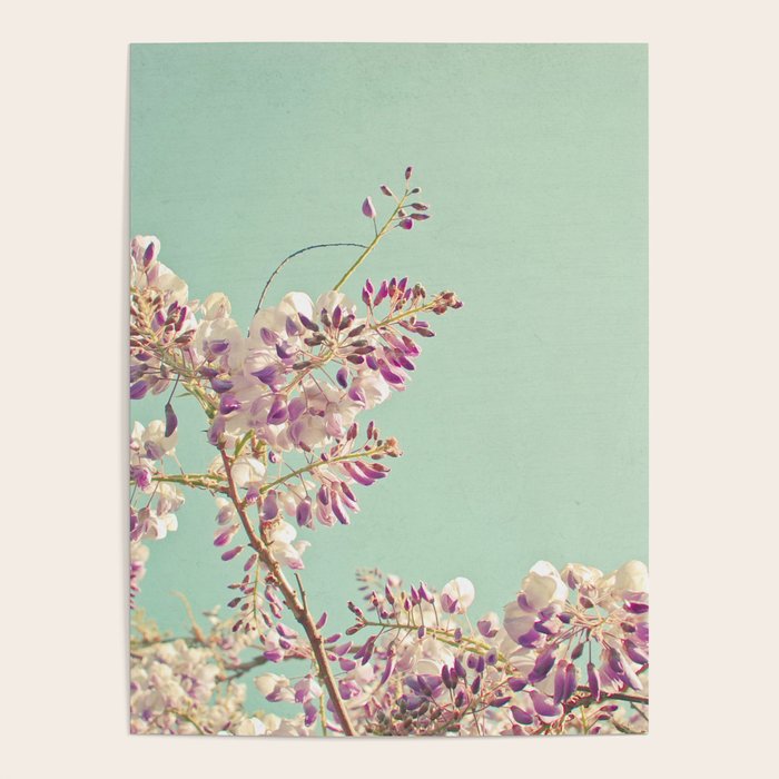 Wisteria Poster Gallery Image 1