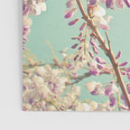 Wisteria Poster Gallery Image 3