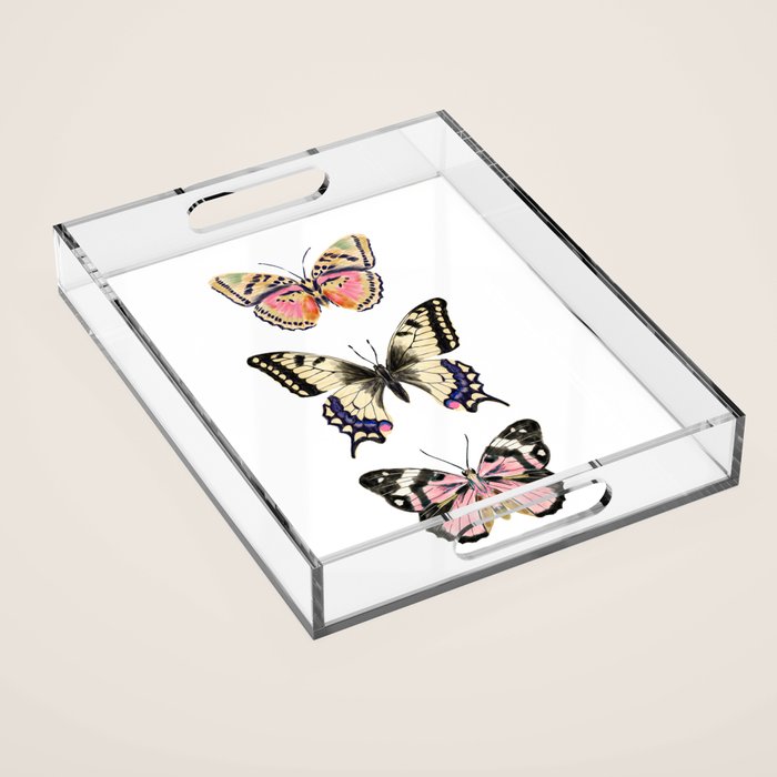 Butterfly Study no. 11 - butterfly art, butterfly sticker, swallowtail butterfly Acrylic Tray Gallery Image 1