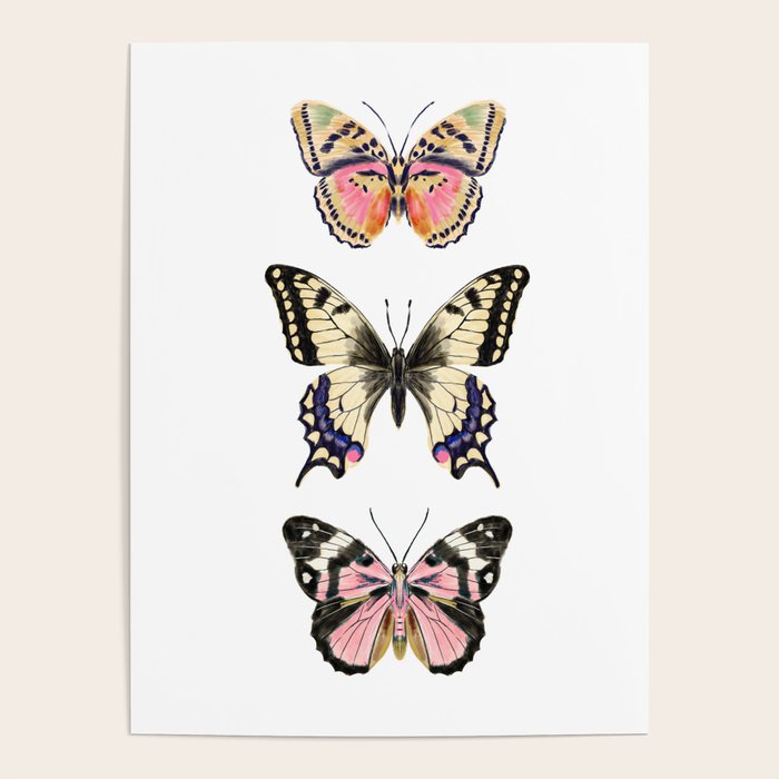 Butterfly Study no. 11 - butterfly art, butterfly sticker, swallowtail butterfly Poster Gallery Image 1