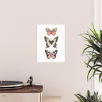 Butterfly Study no. 11 - butterfly art, butterfly sticker, swallowtail butterfly Poster Gallery Image 2