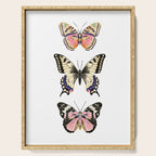Butterfly Study no. 11 - butterfly art, butterfly sticker, swallowtail butterfly Serving Tray Gallery Image 1