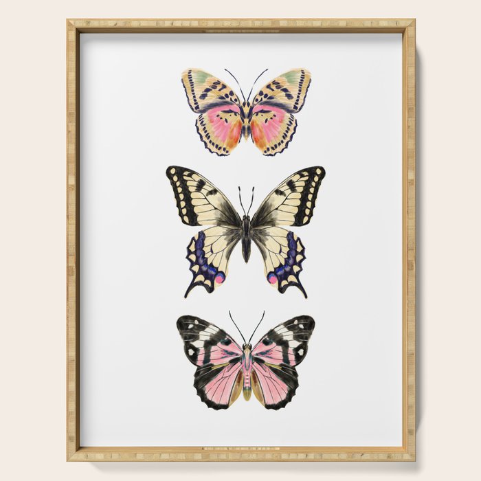 Butterfly Study no. 11 - butterfly art, butterfly sticker, swallowtail butterfly Serving Tray Gallery Image 1