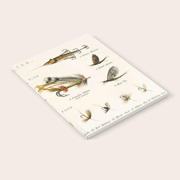 Illustrated Freshwater Fish Angling baits and fishing flies chart Notebook Gallery Image 2