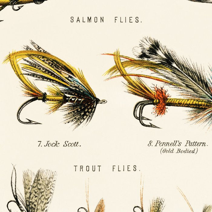 Illustrated Freshwater Fish Angling baits and fishing flies chart Coffee Mug Gallery Image 2