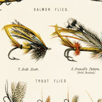 Illustrated Freshwater Fish Angling baits and fishing flies chart Coffee Mug Gallery Image 2