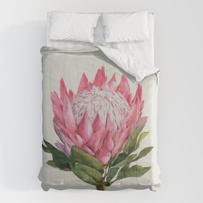 Protea Comforter Gallery Image 1