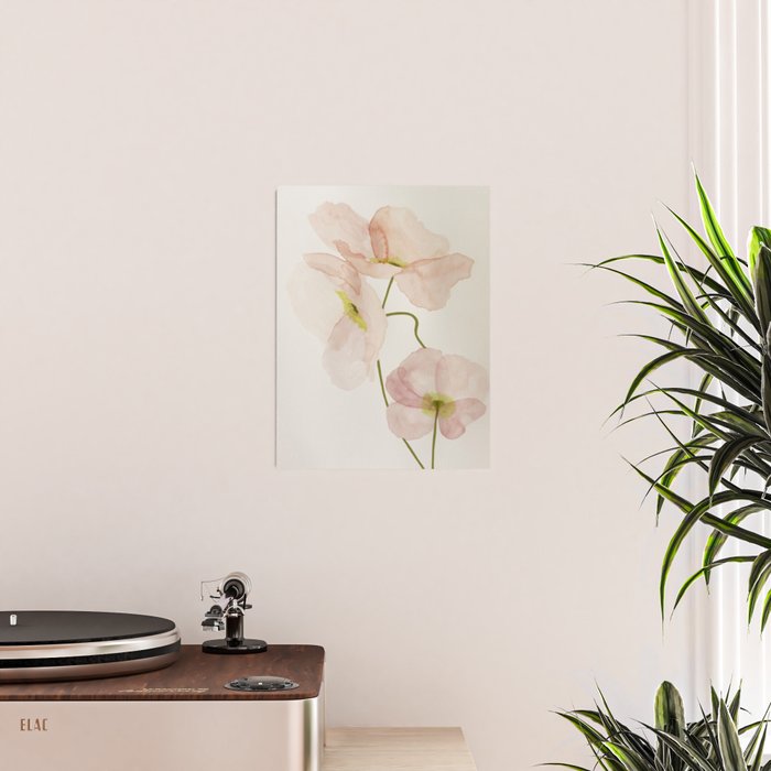 Silk Poppies Poster Gallery Image 2