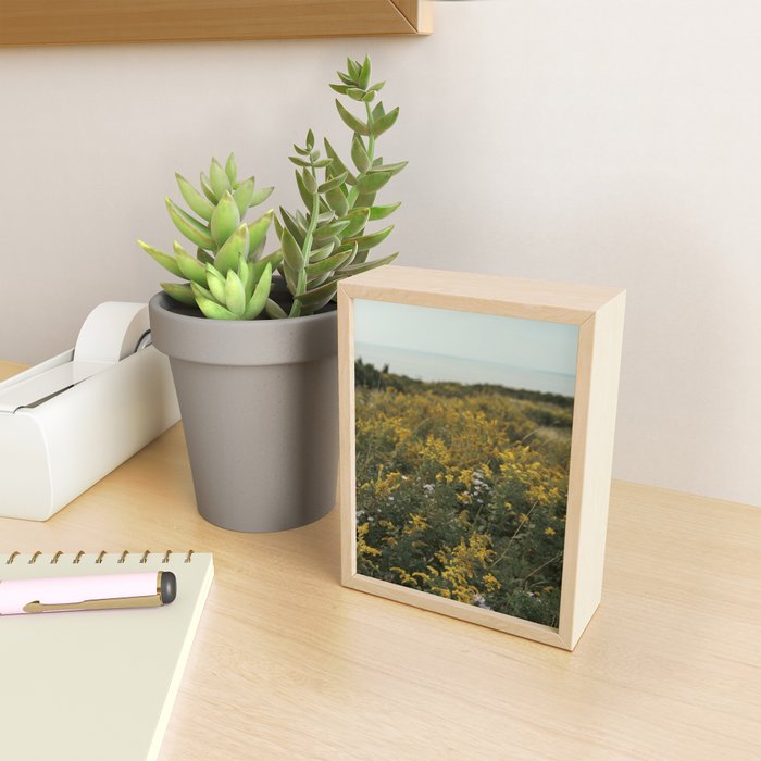 wildflower field by the sea - nature photograph autumn Mini Art Print Gallery Image 2
