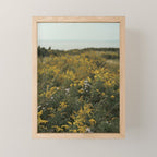 wildflower field by the sea - nature photograph autumn Mini Art Print Gallery Image 1