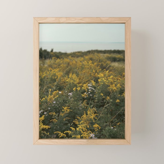 wildflower field by the sea - nature photograph autumn Mini Art Print Gallery Image 1