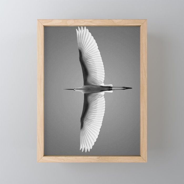 Wings of an Egret in Mid-flight black and white photography - black and white photographs Mini Art Print Gallery Image 1