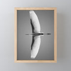Wings of an Egret in Mid-flight black and white photography - black and white photographs Mini Art Print Gallery Image 1