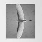 Wings of an Egret in Mid-flight black and white photography - black and white photographs Throw Blanket Gallery Image 2