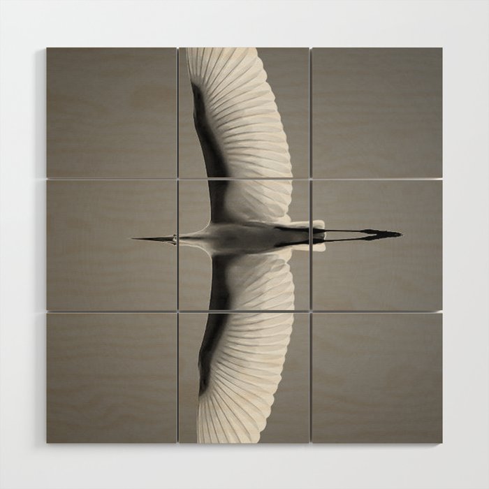 Wings of an Egret in Mid-flight black and white photography - black and white photographs Wood Wall Art Gallery Image 1