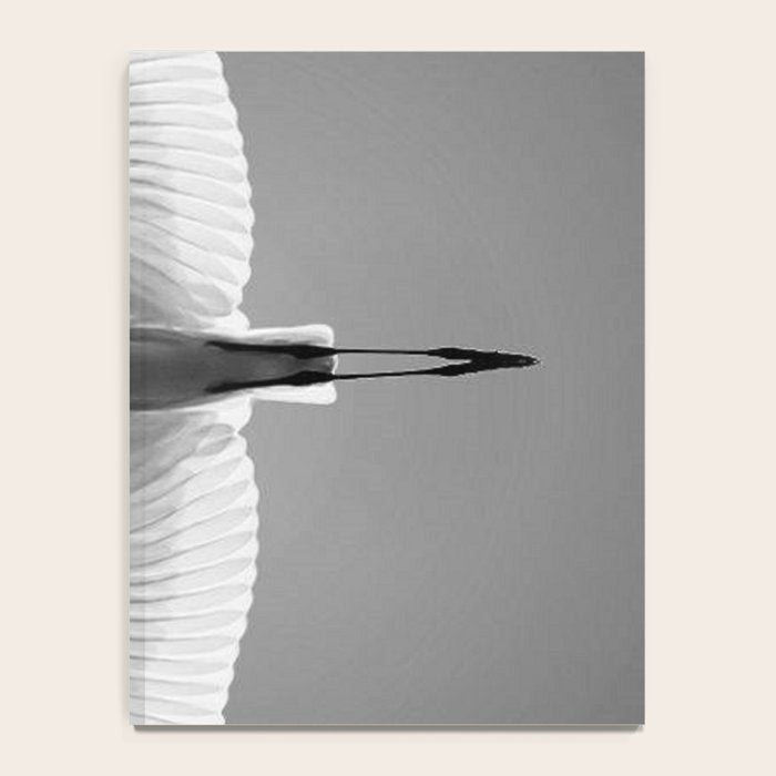 Wings of an Egret in Mid-flight black and white photography - black and white photographs Notebook Gallery Image 4