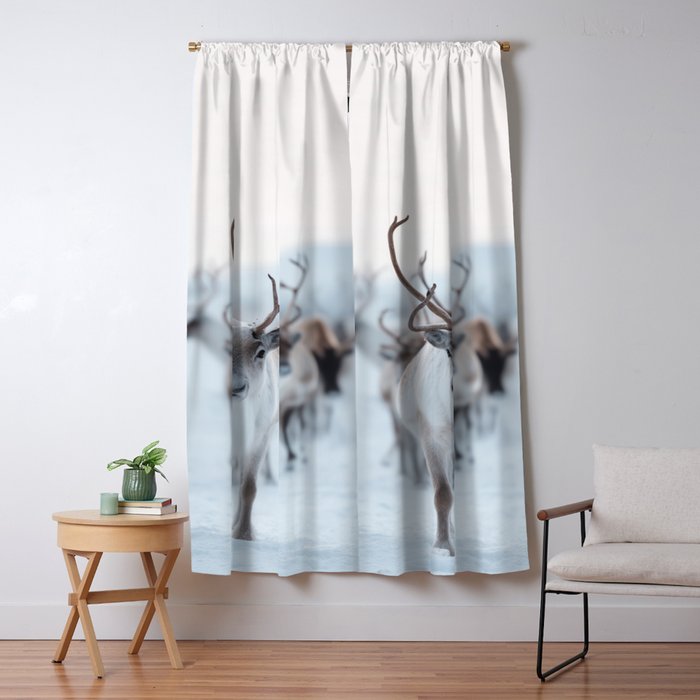 Reindeer in the Snow - Nordic Wildlife Photography Print Window Curtain Gallery Image 5