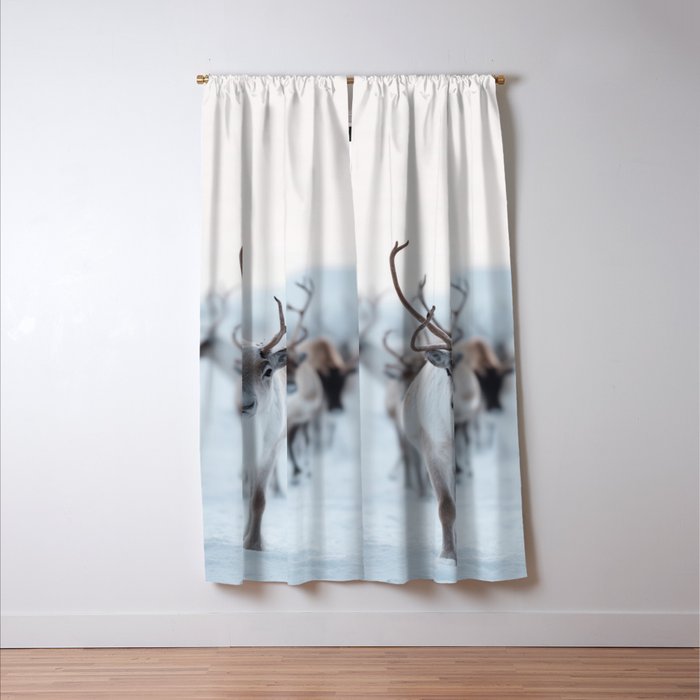 Reindeer in the Snow - Nordic Wildlife Photography Print Window Curtain Gallery Image 3