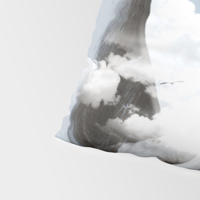 Inside Pillow Sham Gallery Image 4