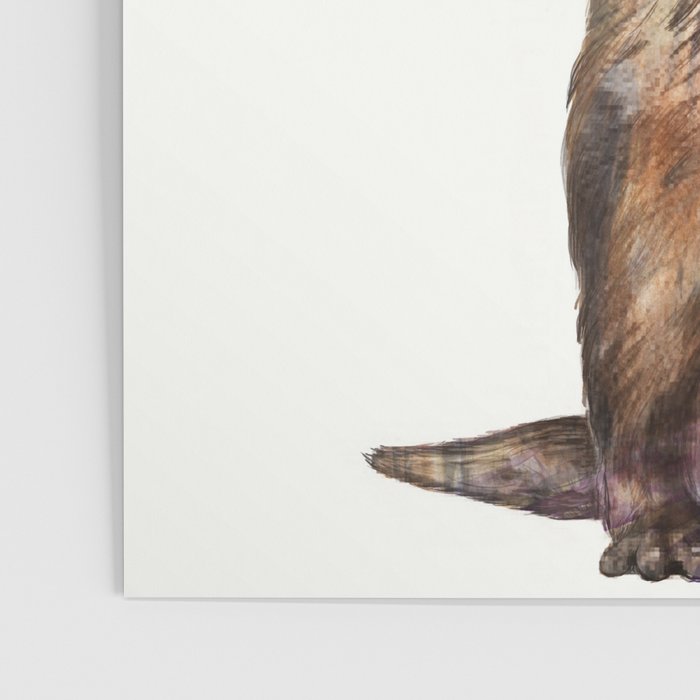 otter Poster Gallery Image 3