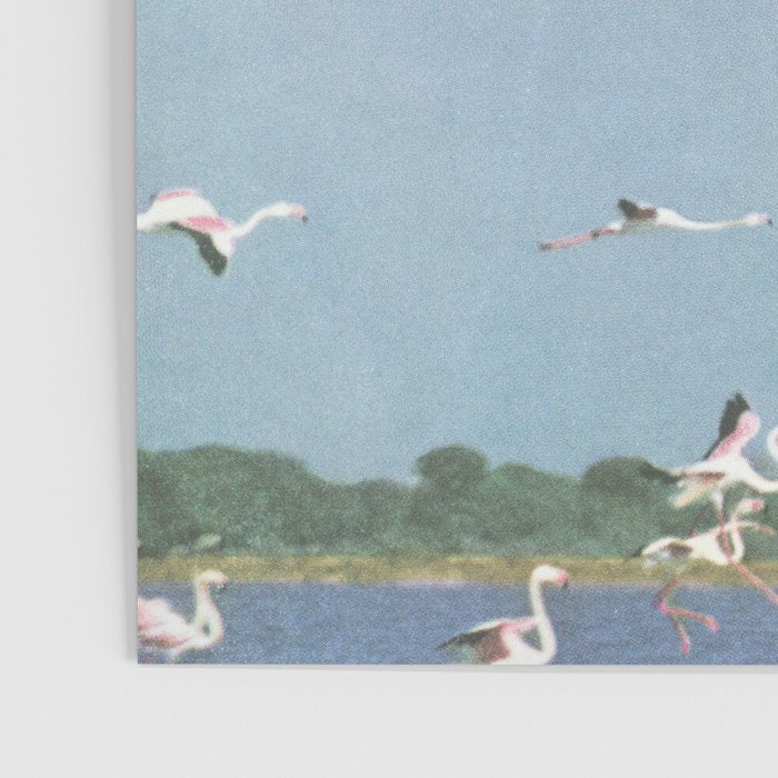 Taking Flight Poster Gallery Image 3