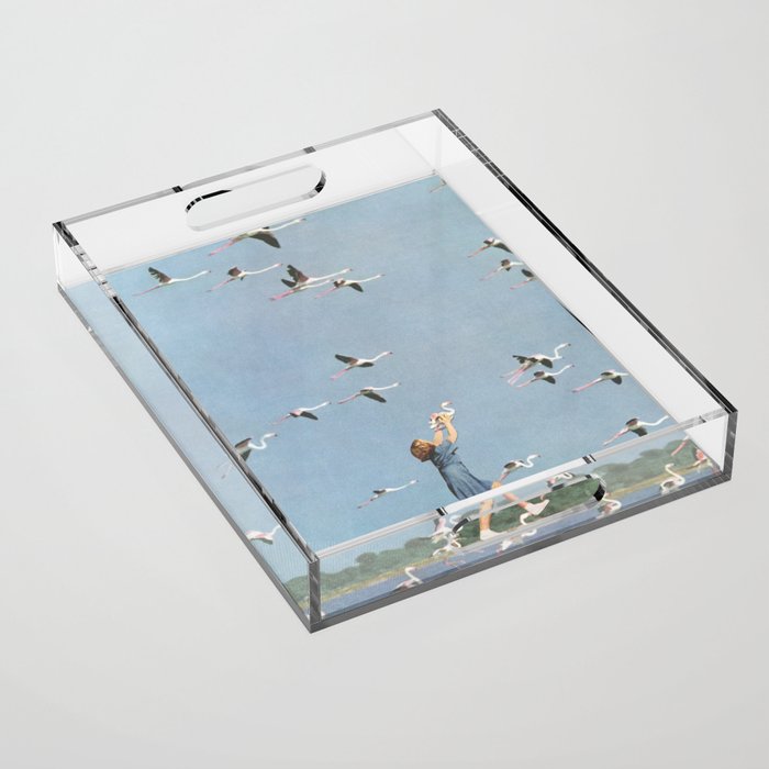 Taking Flight Acrylic Tray Gallery Image 1