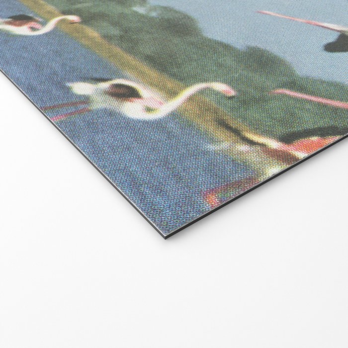 Taking Flight Welcome Mat Gallery Image 2