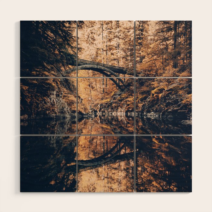 Autumn Forest Miracle on the Pacific Northwest River Bend Wood Wall Art Gallery Image 1