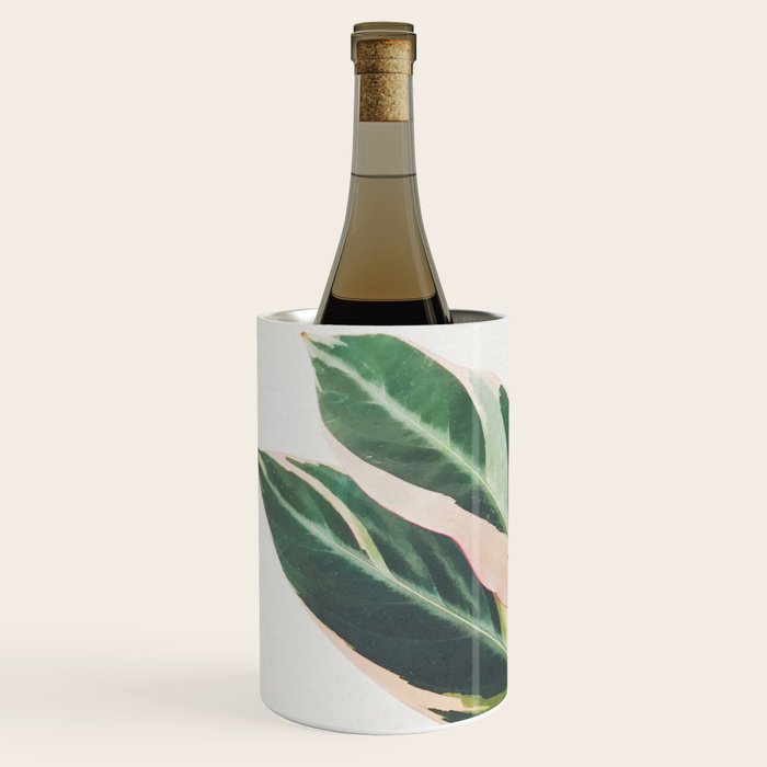 Pink Leaves III Wine Chiller Gallery Image 2