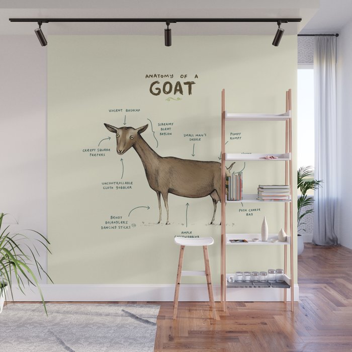 Anatomy of a Goat Wall Mural Gallery Image 1