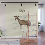 Anatomy of a Goat Wall Mural Gallery Image 1