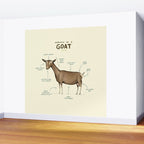 Anatomy of a Goat Wall Mural Gallery Image 2