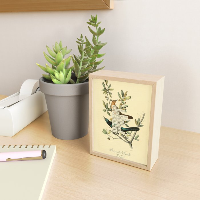 Bird Divinations: Boat-Tailed Grackle (about: almanacofbirds.org) Mini Art Print Gallery Image 2