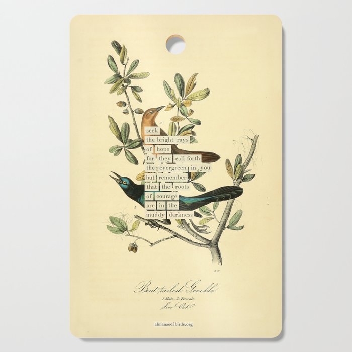 Bird Divinations: Boat-Tailed Grackle (about: almanacofbirds.org) Cutting Board Gallery Image 1