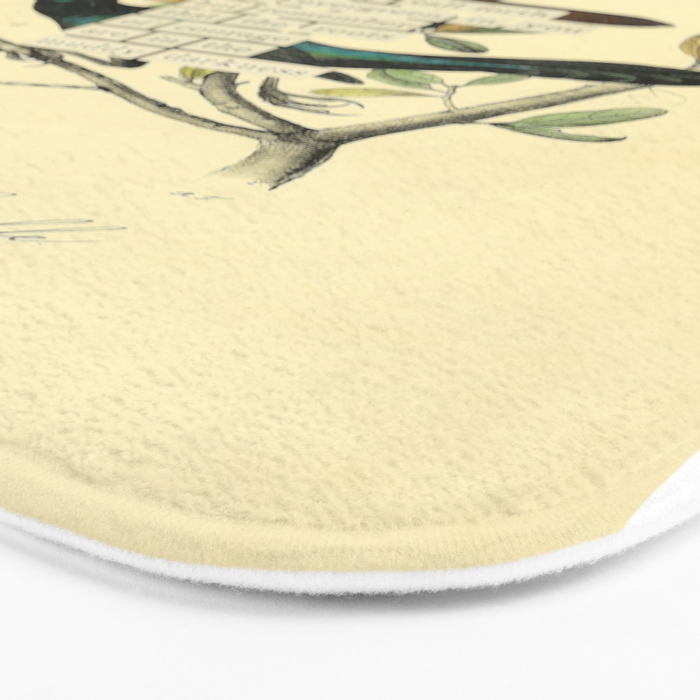 Bird Divinations: Boat-Tailed Grackle (about: almanacofbirds.org) Bath Mat Gallery Image 3
