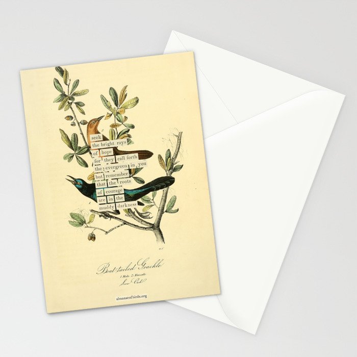 Bird Divinations: Boat-Tailed Grackle (about: almanacofbirds.org) Stationery Card Gallery Image 2