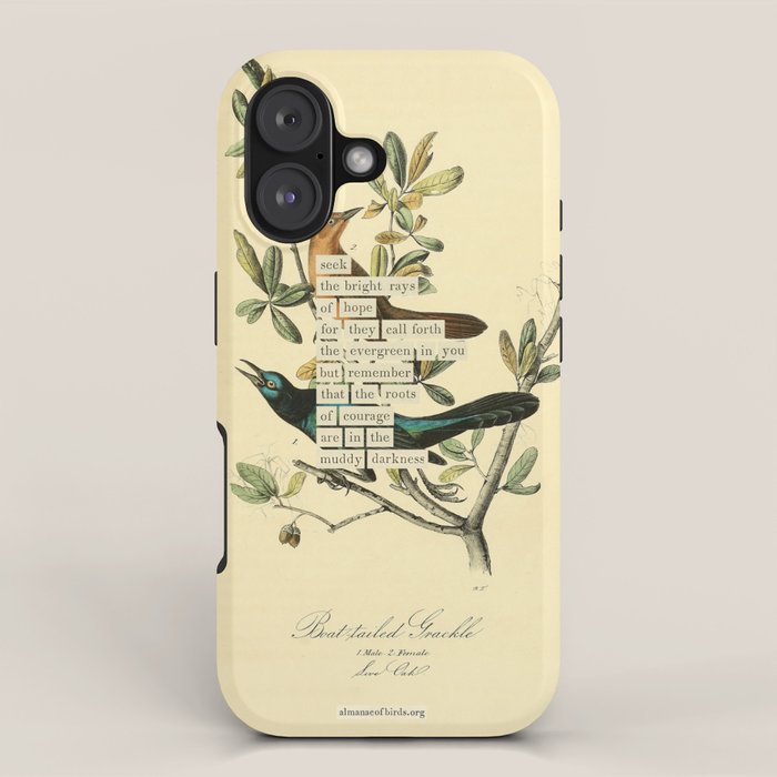Bird Divinations: Boat-Tailed Grackle (about: almanacofbirds.org) iPhone Case Gallery Image 1