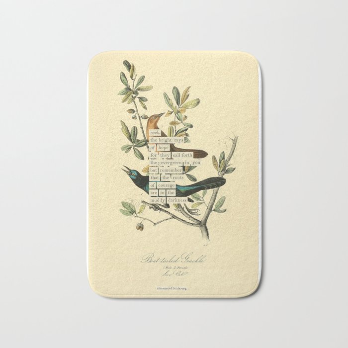 Bird Divinations: Boat-Tailed Grackle (about: almanacofbirds.org) Bath Mat Gallery Image 1