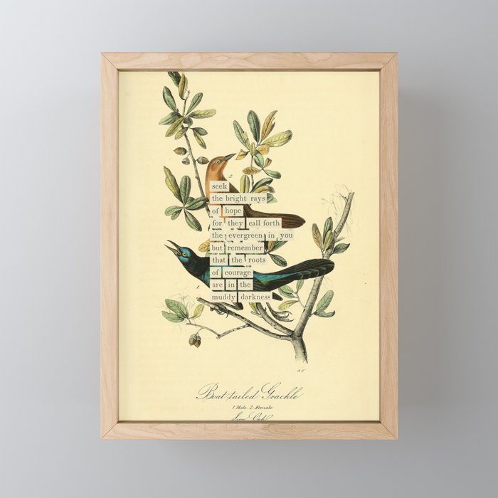 Bird Divinations: Boat-Tailed Grackle (about: almanacofbirds.org) Mini Art Print Gallery Image 1