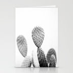 Black and white Cactus | Botanical film photography art Stationery Card Gallery Image 2