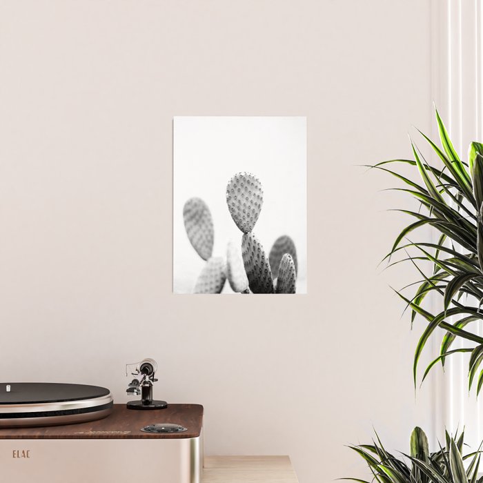 Black and white Cactus | Botanical film photography art Poster Gallery Image 2