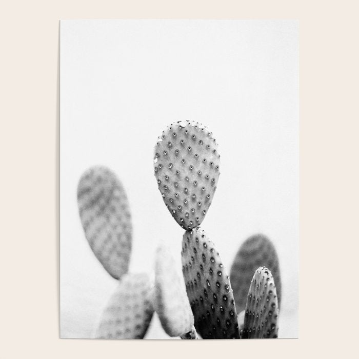 Black and white Cactus | Botanical film photography art Poster Gallery Image 4