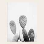 Black and white Cactus | Botanical film photography art Poster Gallery Image 4