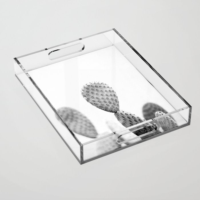 Black and white Cactus | Botanical film photography art Acrylic Tray Gallery Image 1