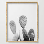 Black and white Cactus | Botanical film photography art Serving Tray Gallery Image 1