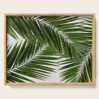 Palm Leaf III Serving Tray Gallery Image 1