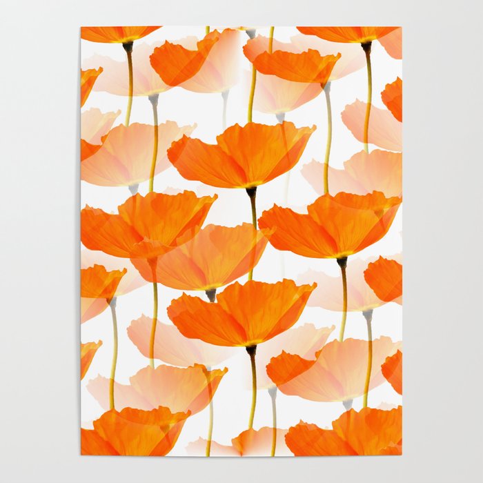 Orange Poppies On A White Background #decor #society6 #buyart Poster Gallery Image 4